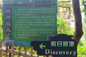 青青世界