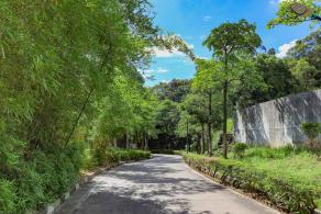 深圳凤凰山国家矿山公园