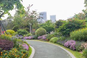 紫荆园