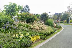 紫荆园