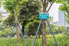 紫荆园