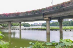 洪湖公园