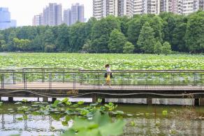 洪湖公园
