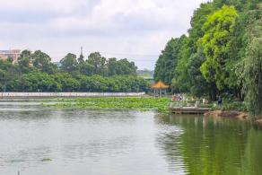 洪湖公园