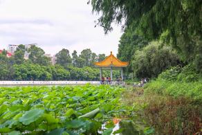 洪湖公园