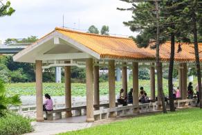 洪湖公园