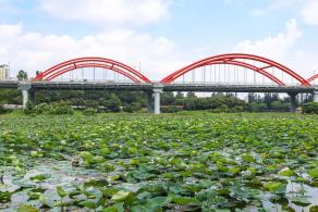洪湖公园
