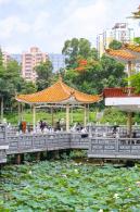 洪湖公园