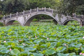 洪湖公园