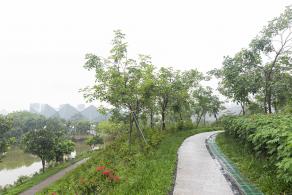 大运公园