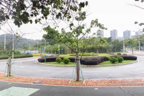 大运公园