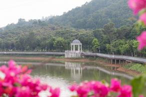 大运公园