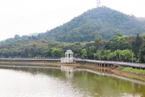 大运公园