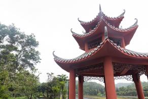 大运公园
