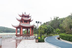 大运公园