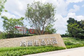 西丽生态公园