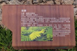 西丽生态公园