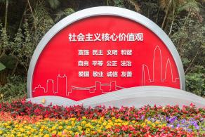 人民公园月季花展
