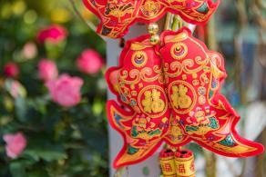 人民公园月季花展