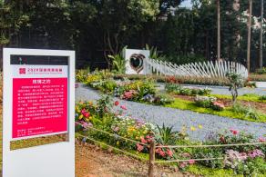 人民公园月季花展