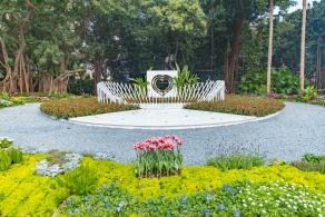 人民公园月季花展