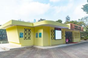 人民公园月季花展