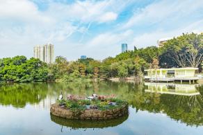 人民公园月季花展