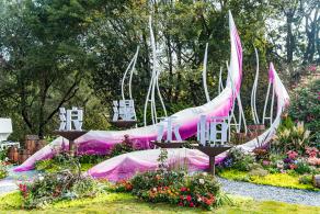 人民公园月季花展