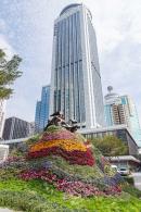人民公园月季花展