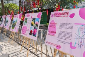 人民公园月季花展