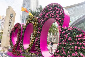 人民公园月季花展