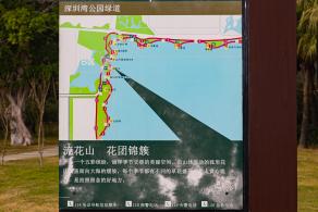 流花山花海