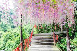 佛山南丹山风景区