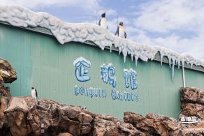 珠海长隆海洋王国