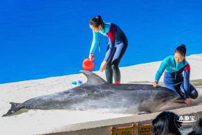 珠海长隆海洋王国
