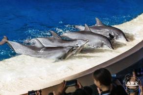 珠海长隆海洋王国