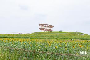 2020光明小镇欢乐田园