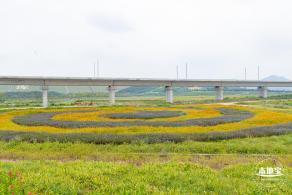 2020光明小镇欢乐田园