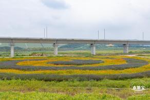 2020光明小镇欢乐田园