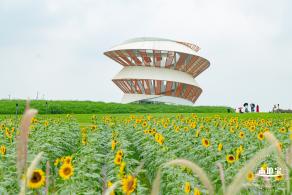 2020光明小镇欢乐田园