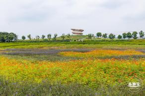 2020光明小镇欢乐田园