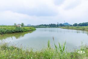 2020光明小镇欢乐田园