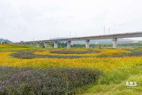 2020光明小镇欢乐田园