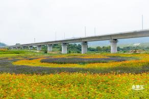 2020光明小镇欢乐田园