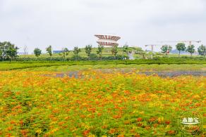 2020光明小镇欢乐田园