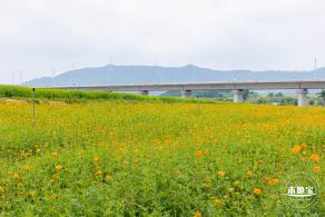 2020光明小镇欢乐田园