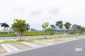 2020光明小镇欢乐田园