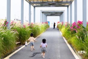 2020光明小镇欢乐田园