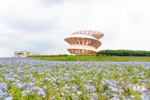 2020光明小镇欢乐田园