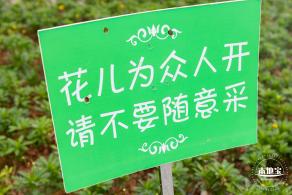 2020光明小镇欢乐田园